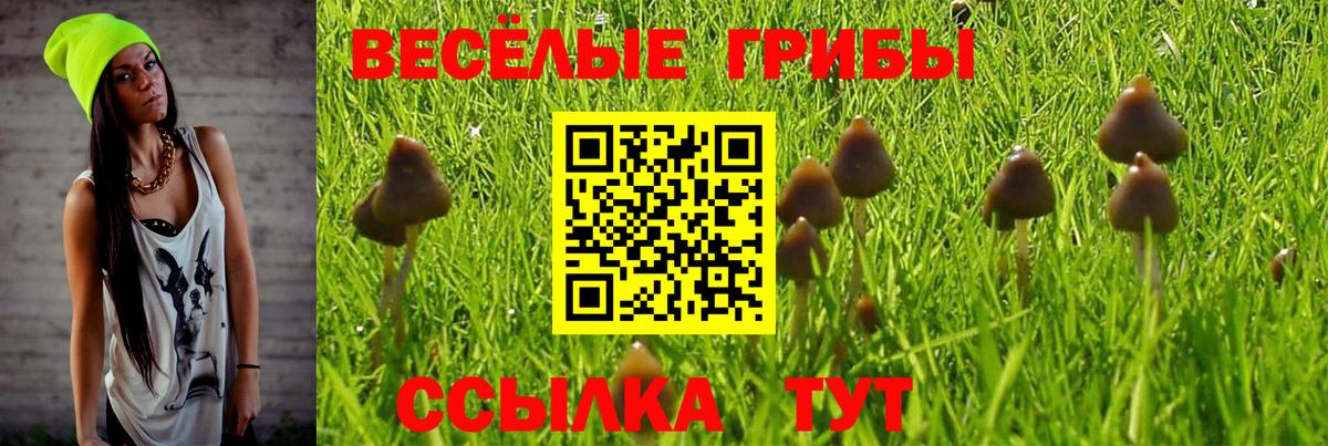Галлюциногенные грибы Psilocybine cubensis Пыть-Ях